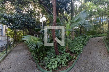 Apartamento para alugar com 241m², 3 quartos e 3 vagas Apartamento para alugar com 241m², 3 quartos e 3 vagasBosque