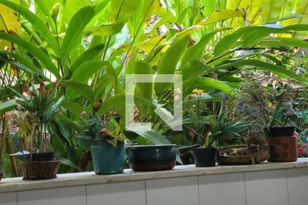 Casa à venda com 199m², 3 quartos e 4 vagas