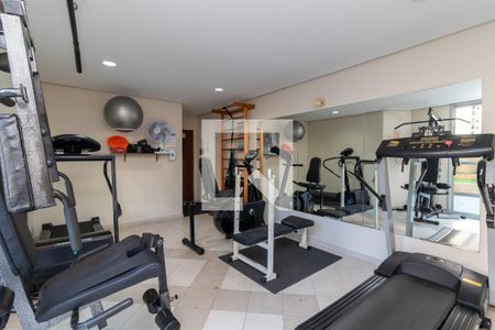 Apartamento para alugar com 40m², 1 quarto e 1 vagaÁrea comum - Academia