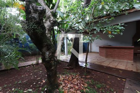 Casa à venda com 574m², 3 quartos e 5 vagasQuintal ajardinado
