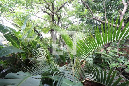 Casa à venda com 574m², 3 quartos e 5 vagasVitsa da Varanda das suítes 1 e 2