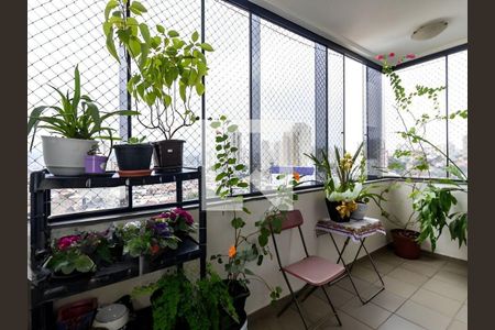 Apartamento à venda com 173m², 4 quartos e 4 vagas