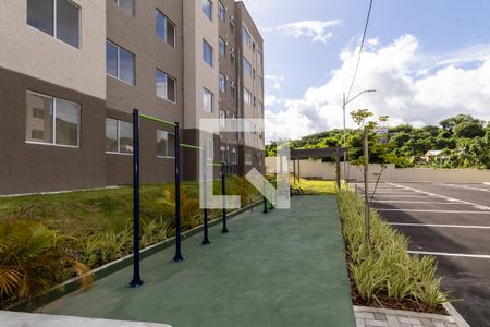 Apartamento para alugar com 43m², 2 quartos e 1 vaga Apartamento para alugar com 43m², 2 quartos e 1 vagaÁrea comum - Academia