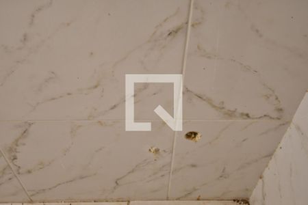 Casa à venda com 1000m², 8 quartos e sem vagaBanheiro 5 - Suíte Detalhe