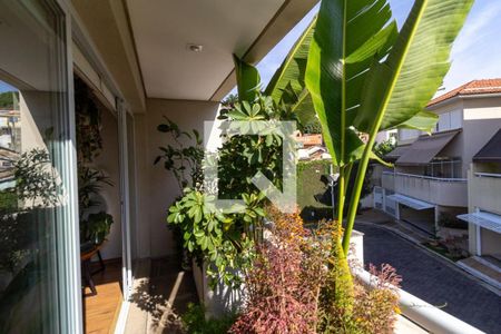 Casa à venda com 272m², 3 quartos e 4 vagas