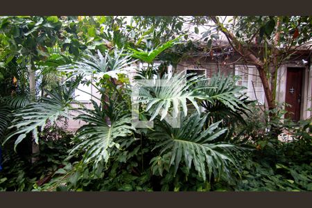 Sala Vista de casa para alugar com 2 quartos, 45m² em Vila Isabel, Rio de Janeiro