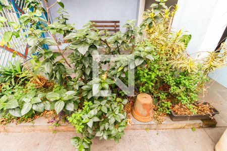 Casa à venda com 330m², 4 quartos e 3 vagas Casa à venda com 330m², 4 quartos e 3 vagasJardim