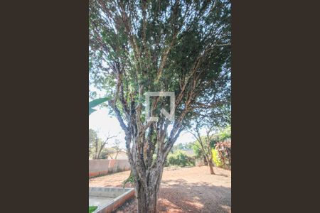 Casa à venda com 453m², 4 quartos e 8 vagas Casa à venda com 453m², 4 quartos e 8 vagasQuintal