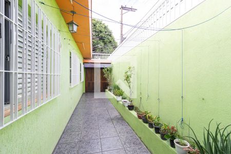 Casa à venda com 250m², 3 quartos e 2 vagasQuintal