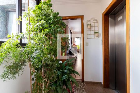 Apartamento à venda com 117m², 3 quartos e 3 vagasHall do Elevador