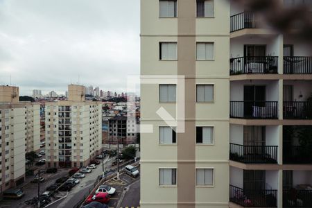 Apartamento à venda com 64m², 3 quartos e 1 vagaQuarto 3