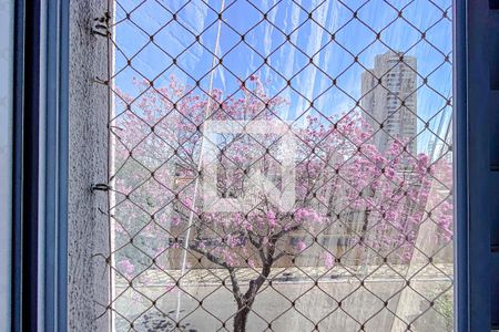 Apartamento à venda com 59m², 2 quartos e 1 vagaVista do Quarto 1