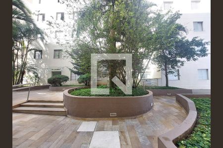 Apartamento para alugar com 60m², 3 quartos e 1 vaga Apartamento para alugar com 60m², 3 quartos e 1 vagaJardim