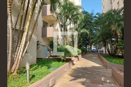 Apartamento para alugar com 60m², 3 quartos e 1 vaga Apartamento para alugar com 60m², 3 quartos e 1 vagaJardim