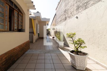 Casa à venda com 420m², 3 quartos e 1 vagaQuintal