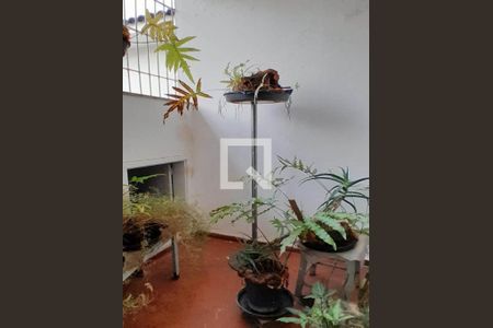 Casa à venda com 250m², 4 quartos e 2 vagas