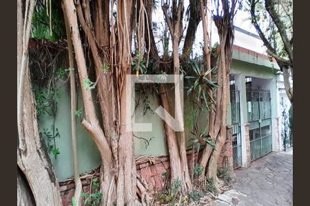 Casa à venda com 250m², 4 quartos e 2 vagas