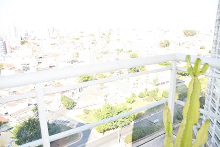 Apartamento para alugar com 186m², 3 quartos e 3 vagasVista Quarto