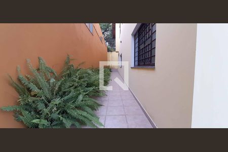 Casa para alugar com 380m², 4 quartos e 4 vagas Casa para alugar com 380m², 4 quartos e 4 vagasJardim