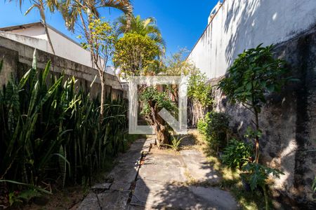 Casa para alugar com 203m², 3 quartos e 2 vagasQuintal