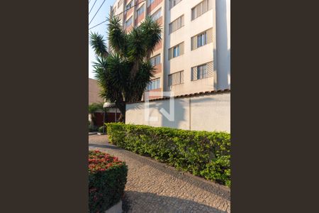 Apartamento à venda com 68m², 2 quartos e 1 vagaFachada do Prédio