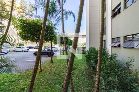 Apartamento para alugar com 56m², 2 quartos e 1 vaga Apartamento para alugar com 56m², 2 quartos e 1 vagaQuarto 2 vista