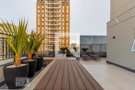 Studio à venda com 28m², 1 quarto e sem vagaÁrea comum - Solarium