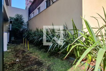 Apartamento à venda com 33m², 1 quarto e sem vaga Apartamento à venda com 33m², 1 quarto e sem vagapet