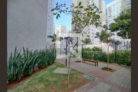 Apartamento à venda com 65m², 3 quartos e 1 vagaÁrea comum