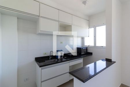 Apartamento para alugar com 34m², 1 quarto e 1 vagaCozinha