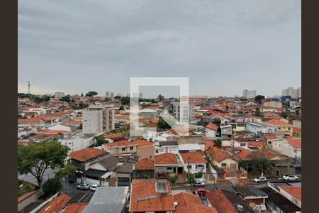 Apartamento à venda com 70m², 3 quartos e 1 vaga Apartamento à venda com 70m², 3 quartos e 1 vagaVista - Quarto 3