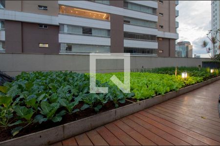 Apartamento para alugar com 55m², 1 quarto e 1 vagaHortinha