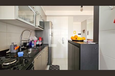 Cozinha de apartamento para alugar com 2 quartos, 46m² em Usina Piratininga, São Paulo