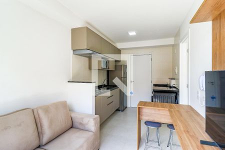 Sala de apartamento para alugar com 1 quarto, 27m² em Jardim Caravelas, São Paulo