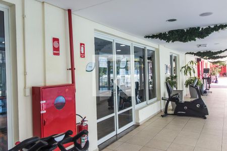 Apartamento à venda com 133m², 3 quartos e 2 vagasAcademia