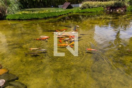 Apartamento à venda com 133m², 3 quartos e 2 vagasÁrea comum