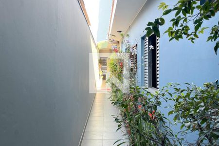 Casa à venda com 312m², 3 quartos e 2 vagas Casa à venda com 312m², 3 quartos e 2 vagasQuintal