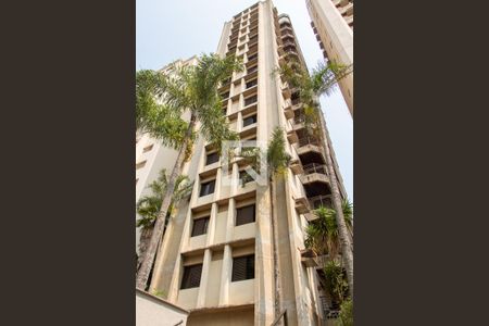 Apartamento para alugar com 55m², 1 quarto e 1 vaga Apartamento para alugar com 55m², 1 quarto e 1 vagaFACHADA DA TORRE