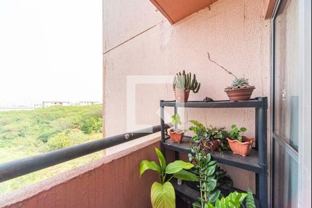 Varanda da Sala de apartamento para alugar com 2 quartos, 50m² em Tamanduateí 8, Santo André