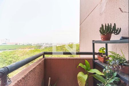 Varanda da Sala de apartamento para alugar com 2 quartos, 50m² em Tamanduateí 8, Santo André