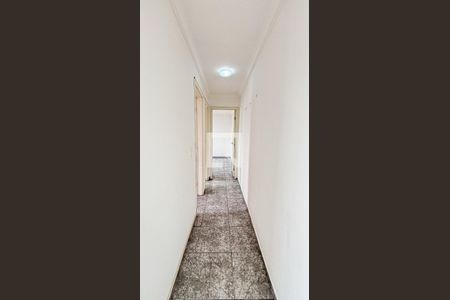 Corredor de apartamento para alugar com 2 quartos, 47m² em Vila Homero Thon, Santo André