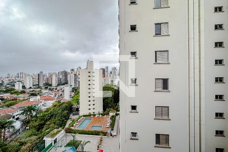 Apartamento à venda com 320m², 4 quartos e 3 vagasVista da Suíte 2