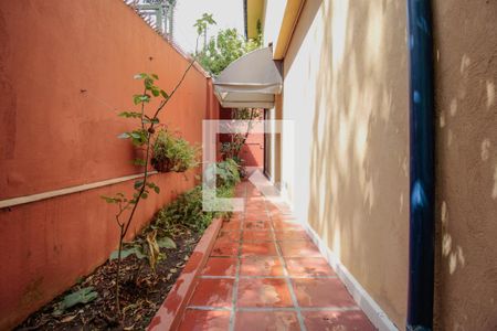 Casa à venda com 110m², 3 quartos e 3 vagasQuintal