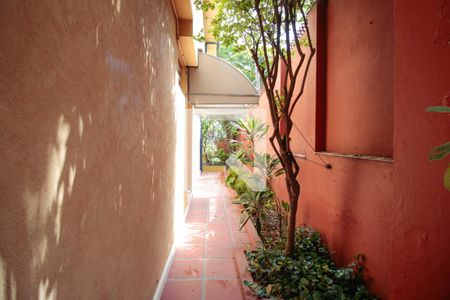 Casa à venda com 110m², 3 quartos e 3 vagasQuintal