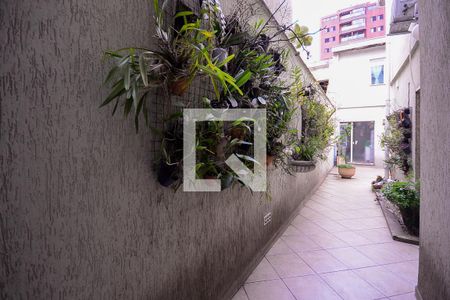 Casa à venda com 190m², 5 quartos e 1 vaga Casa à venda com 190m², 5 quartos e 1 vagaQuintal