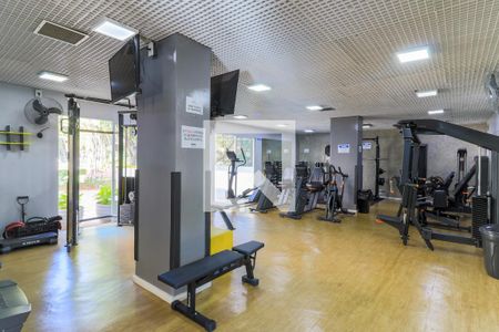 Apartamento para alugar com 115m², 3 quartos e 1 vaga Apartamento para alugar com 115m², 3 quartos e 1 vagaÁrea comum - Academia