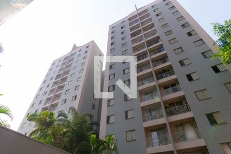 Apartamento para alugar com 60m², 3 quartos e 1 vaga Apartamento para alugar com 60m², 3 quartos e 1 vagaFachada