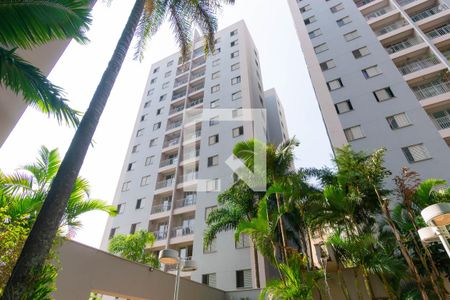 Apartamento para alugar com 60m², 3 quartos e 1 vaga Apartamento para alugar com 60m², 3 quartos e 1 vagaFachada