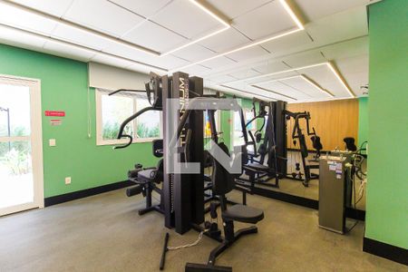 Apartamento para alugar com 36m², 2 quartos e sem vaga Apartamento para alugar com 36m², 2 quartos e sem vagaAcademia