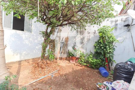 Casa à venda com 244m², 4 quartos e 3 vagas Casa à venda com 244m², 4 quartos e 3 vagasQuintal